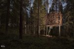 Tree-Hotel-Sweden-Birds-Nest-2
